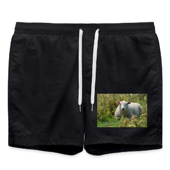 Sheep Lying in the Grass - Poster - Swim Trunks - black - Front - AI Model Male 185 light (185cm)