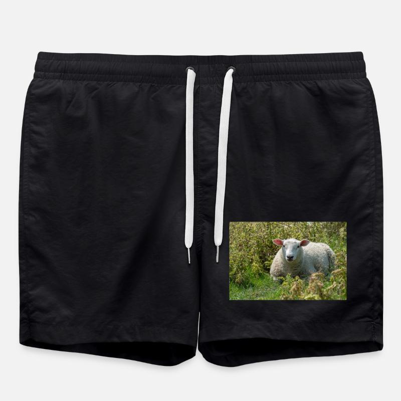 Moutons allongés dans l’herbe - Affiche - Short de bain - noir