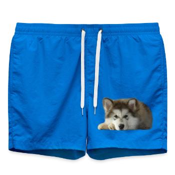 Chiot malamute Maia - Short de bain - cobalt blue - Devant