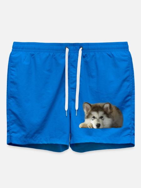 Chiot malamute Maia - Short de bain - cobalt blue