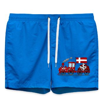 Denmark Flag Football Railway - Swim Trunks - cobalt blue - Front - AI Model Male 185 light (185cm)