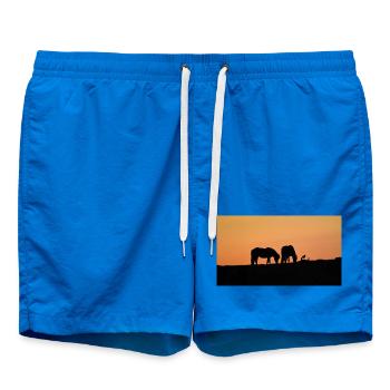Chevaux islandais au coucher du soleil - Short de bain - cobalt blue - Devant