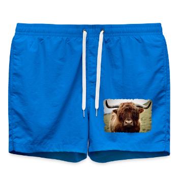 Hochlandrind - Badeshorts - Cobalt blue - Vorne