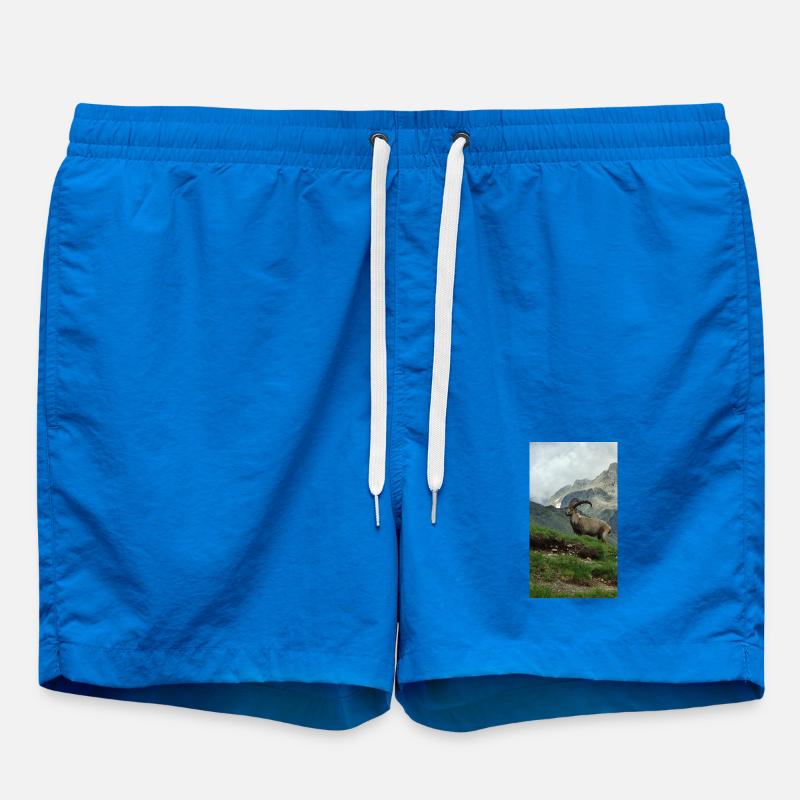 Ibex - Swim Trunks - cobalt blue