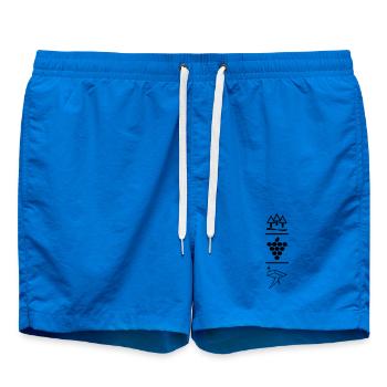 Pfalzlust 2017 - Badeshorts - Cobalt blue - Vorne