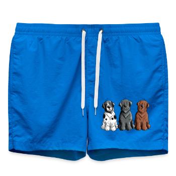 Terre-Neuve - Short de bain - cobalt blue - Devant