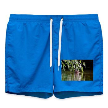 000_0762_DxO - Le castor se nourrissant de branches de saule - Short de bain - cobalt blue - Devant