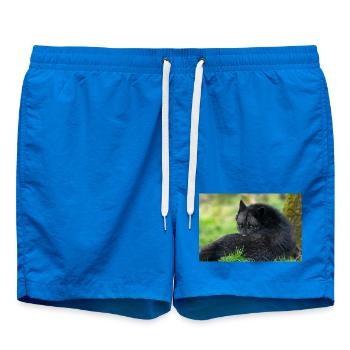 Loup noir en repos - Short de bain - cobalt blue - Devant