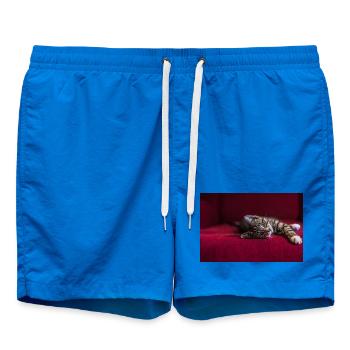 Cute tabby baby cat, lying, photography - Swim Trunks - cobalt blue - Front
