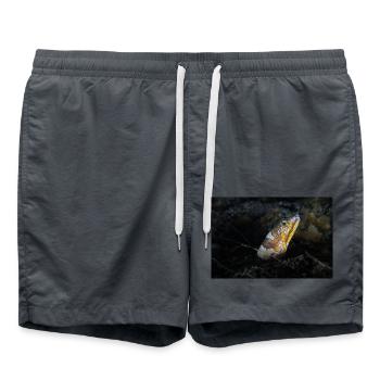 Napoleon Schlangen Aal - Badeshorts - Anthrazit - Vorne - AI Model Male 185 light (185cm)