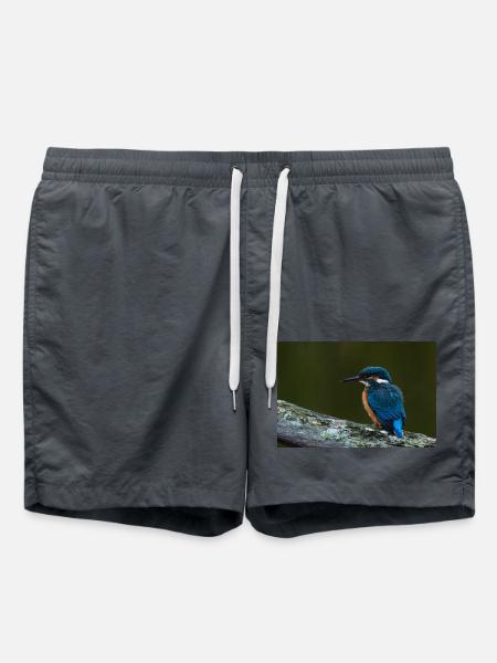 000 1295 Affinity - Swim Trunks - anthracite