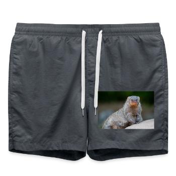 Gebänderte Mungo, Zebra, Mungo, Zebramanguste - Badeshorts - Anthrazit - Vorne - AI Model Male 185 light (185cm)