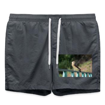 The Little Eagle - Swim Trunks - anthracite - Front - AI Model Male 185 light (185cm)