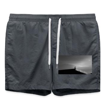 The Falcon on the Roof - Swim Trunks - anthracite - Front - AI Model Male 185 light (185cm)