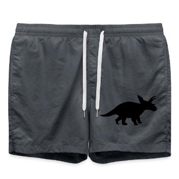 dinosaur - Swim Trunks - anthracite - Front - AI Model Male 185 light (185cm)
