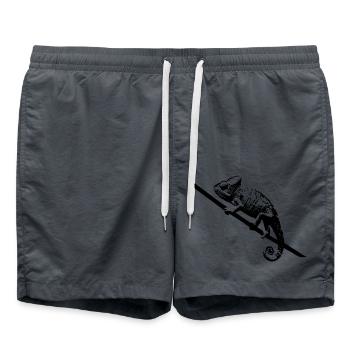 Chameleon - Swim Trunks - anthracite - Front - AI Model Male 185 light (185cm)
