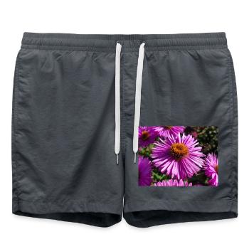 Marguerite d’Italie (en allemand Berg-Aster Aster amellus - Short de bain - charbon - Devant - AI Model Male 185 light (185cm)