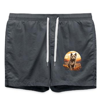 Hund Berger Picard - Badeshorts - Anthrazit - Vorne - AI Model Male 185 light (185cm)