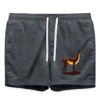 Guanako - Badeshorts - Anthrazit - Vorne - AI Model Male 185 light (185cm)