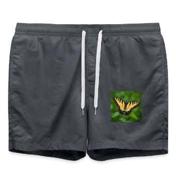 Machaon tigré de l’Est - Short de bain - charbon - Devant - AI Model Male 185 light (185cm)