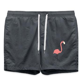 Flamingo - Swim Trunks - anthracite - Front - AI Model Male 185 light (185cm)