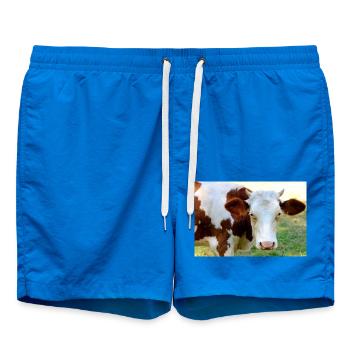 Kuh Poster - Badeshorts - Cobalt blue - Vorne
