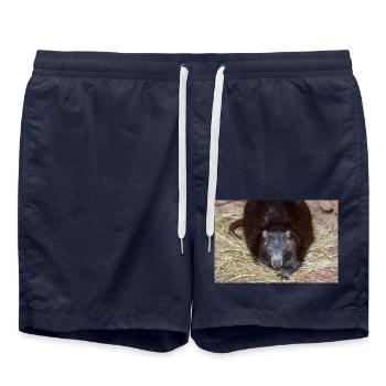 Hutia cubain aussi hutia-conga aussi huti de Desmarest - Short de bain - bleu marine - Devant - AI Model Male 185 light (185cm)