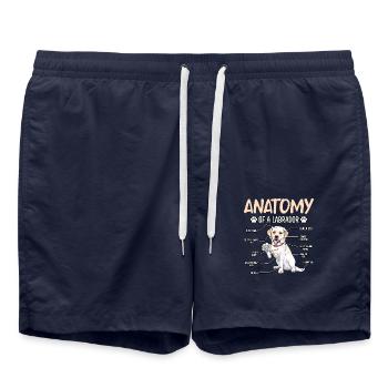 Anatomie du Labrador - Short de bain - bleu marine - Devant - AI Model Male 185 light (185cm)