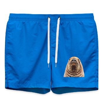 Walross - Badeshorts - Cobalt blue - Vorne