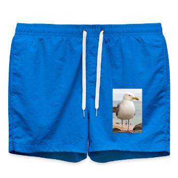 Herring Gull (Larus argentatus) on the beach Gull - Swim Trunks - cobalt blue - Front