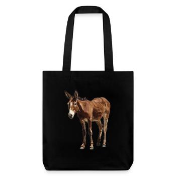 Mules Mule - Stanley/Stella Heavyweight Recycled Tote Bag - black - Front