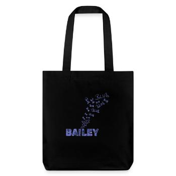 Segeln Bailey - Stanley/Stella recycelter Heavyweight Stoffbeutel - Schwarz - Vorne