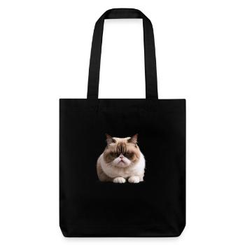Grumpy Monday Cat, , Monday Grouch - Stanley/Stella Heavyweight Recycled Tote Bag - black - Front