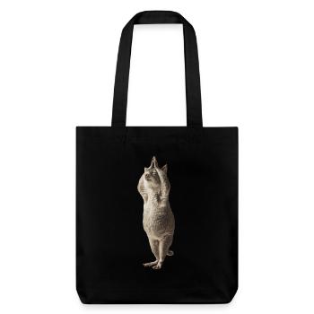 Chinchilla - Stanley/Stella recycelter Heavyweight Stoffbeutel - Schwarz - Vorne