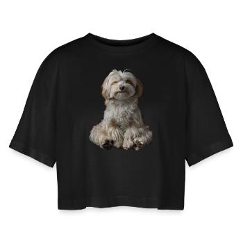 Havaneser - Frauen Oversized Cropped T-Shirt - Schwarz - Vorne - AI Model Female 172 light (172cm)