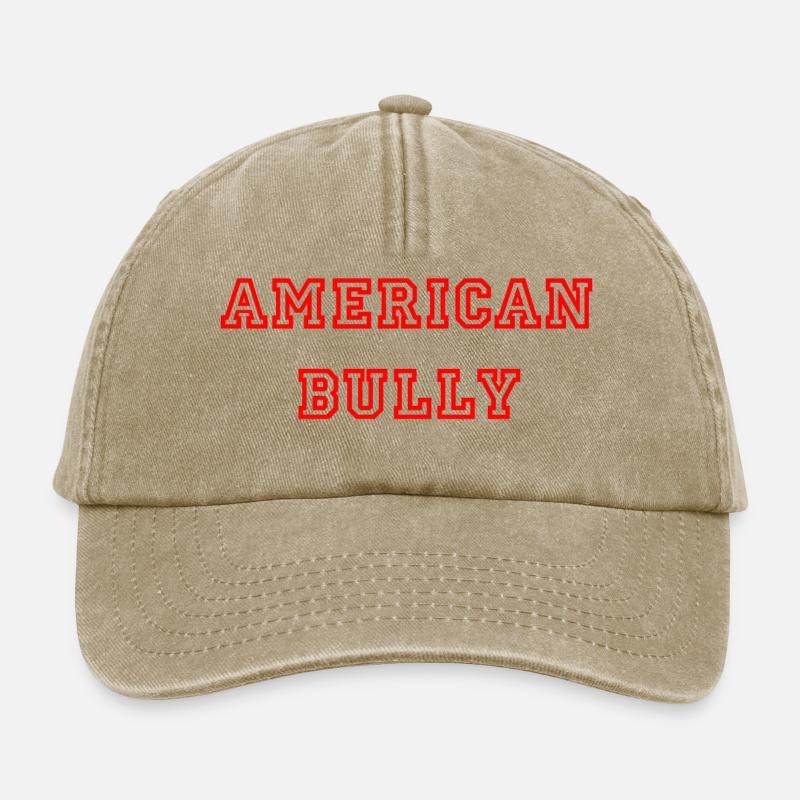 Bully américain - Casquette vintage décontractée - beige vintage