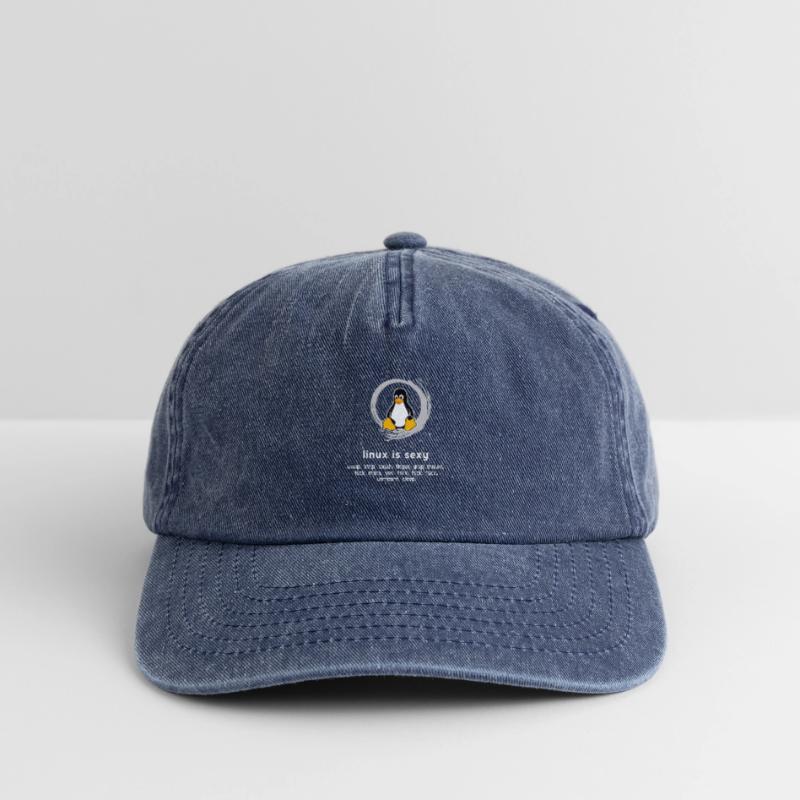 Computer Admin pc Programmierer Code System Humor Relaxed Vintage Cap