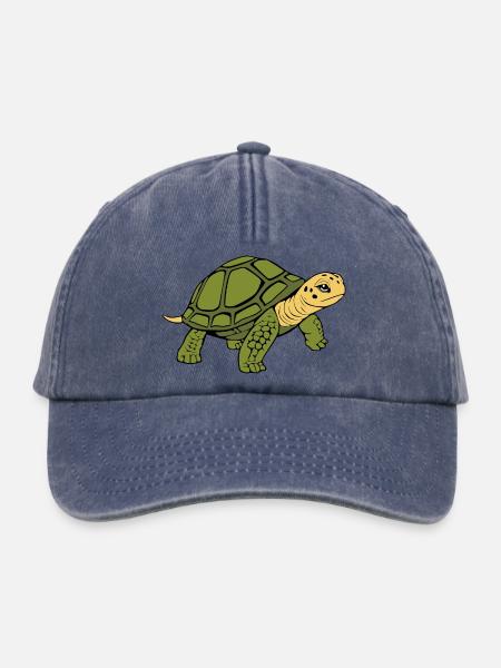 Schildkröten Schildkröten - Relaxed Vintage Cap - Vintage Denim