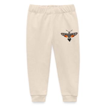 Papillon colibri Macroglossum stellatarum - Pantalon de jogging bébé bio Stanley/Stella - écru doux - Devant