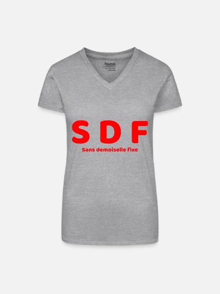 Humor - Bio Frauen T-Shirt mit V-Ausschnitt - Grau meliert