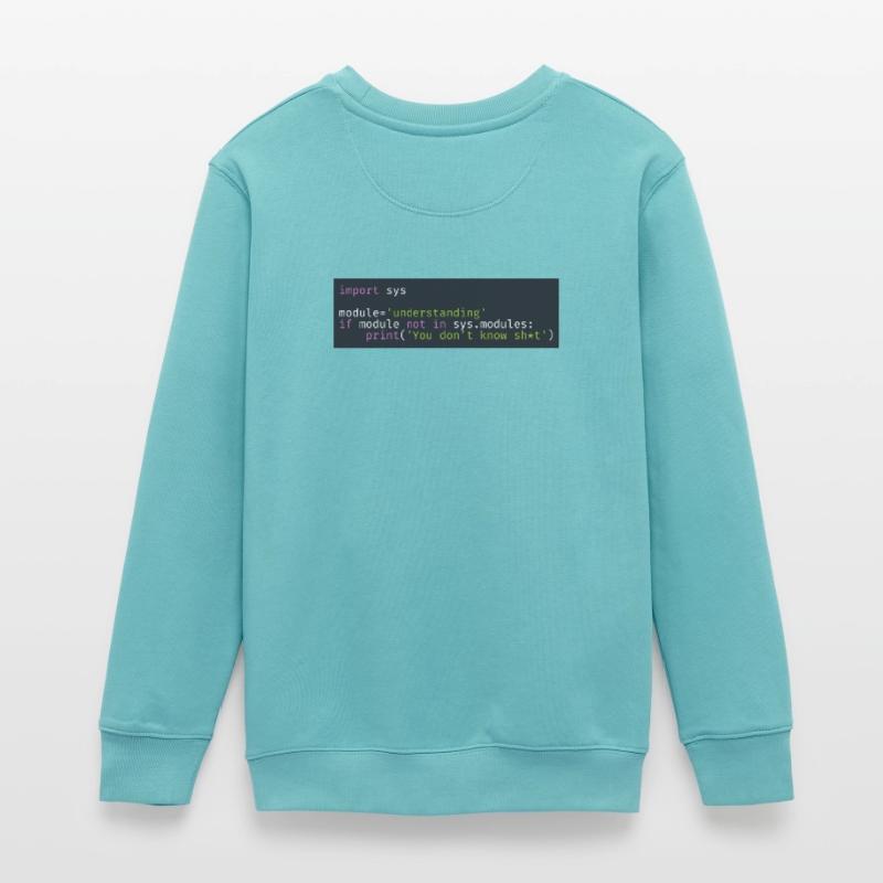Programmierer, Software, Informatik, Developer Teenager Organic Sweatshirt Mini Changer von Stanley/Stella