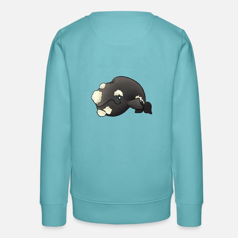 Petit sud Glattwal (Südkapper) - Sweat ado bio Stanley/Stella - turquoise pastel