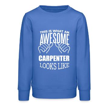 charpentier - Sweat ado bio Stanley/Stella - carolina blue - Devant - AI Model Teenager Male dark (155cm)