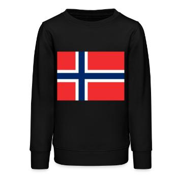 Norge Flag Flag - Stanley/Stella junior sweatshirt økologisk - sort - Foran - AI Model Teenager Male light (155cm)