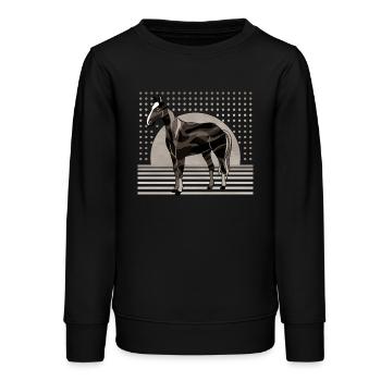 Cheval - Sweat ado bio Stanley/Stella - noir - Devant - AI Model Teenager Male light (155cm)
