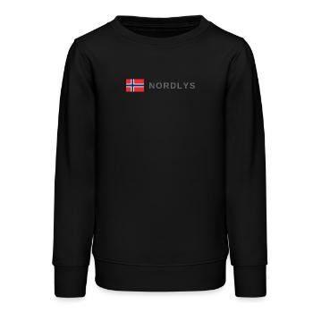 Aurores boréales en Norvège - Sweat ado bio Stanley/Stella - noir - Devant - AI Model Teenager Male light (155cm)