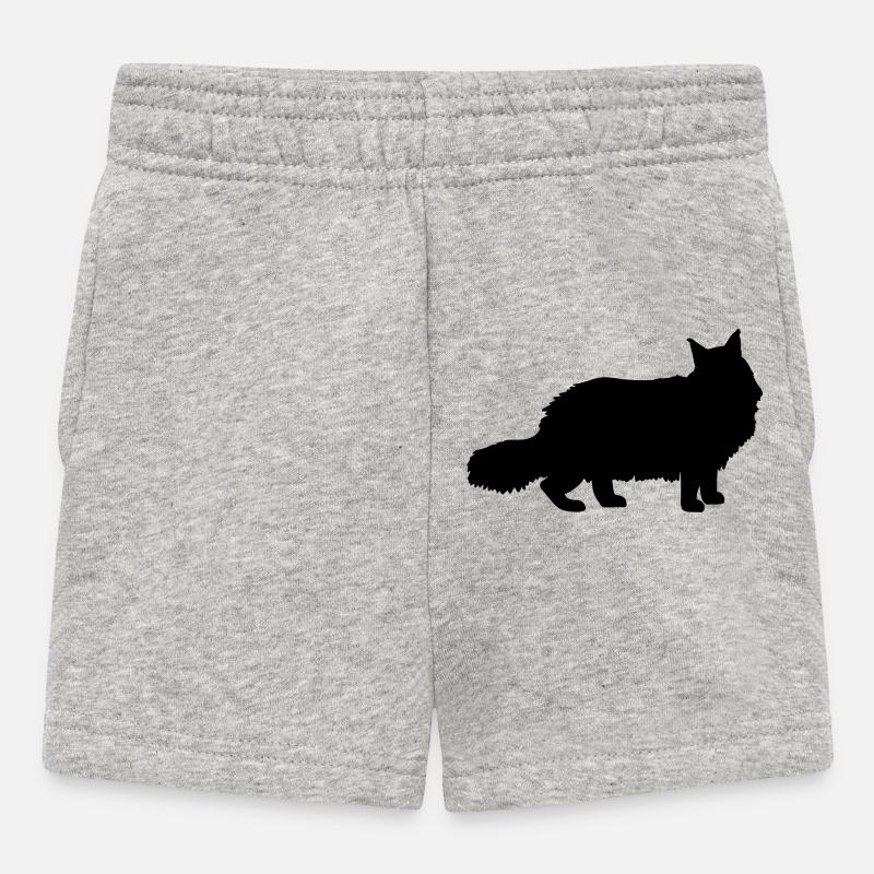 Maine Coon - Short Bébé - gris chiné