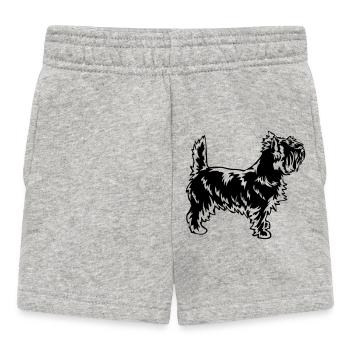 Cairn Terrier - Short Bébé - gris chiné - Devant
