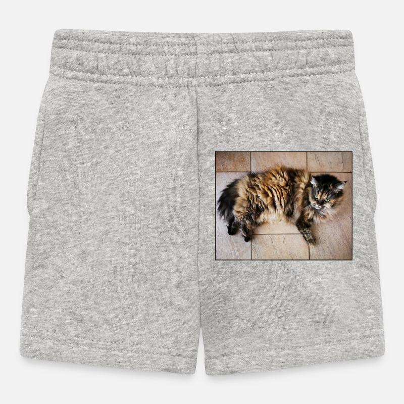 Chaton - Short Bébé - gris chiné