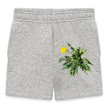 Löwenzahn - Baby Shorts - Grau meliert - Vorne